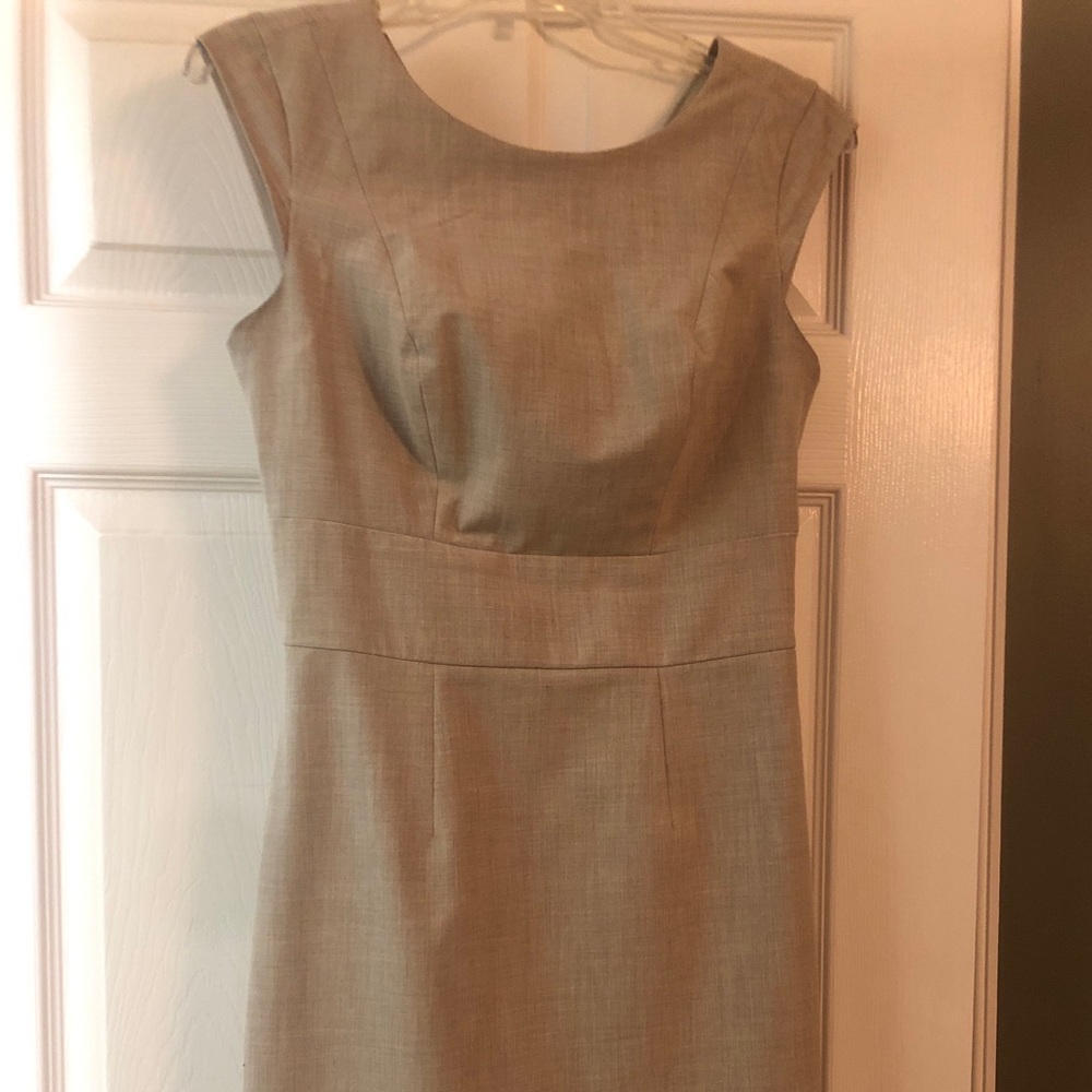 The Limited Beige Dress (Size 2)